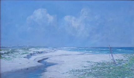 The Beach at Kamehama Nui
